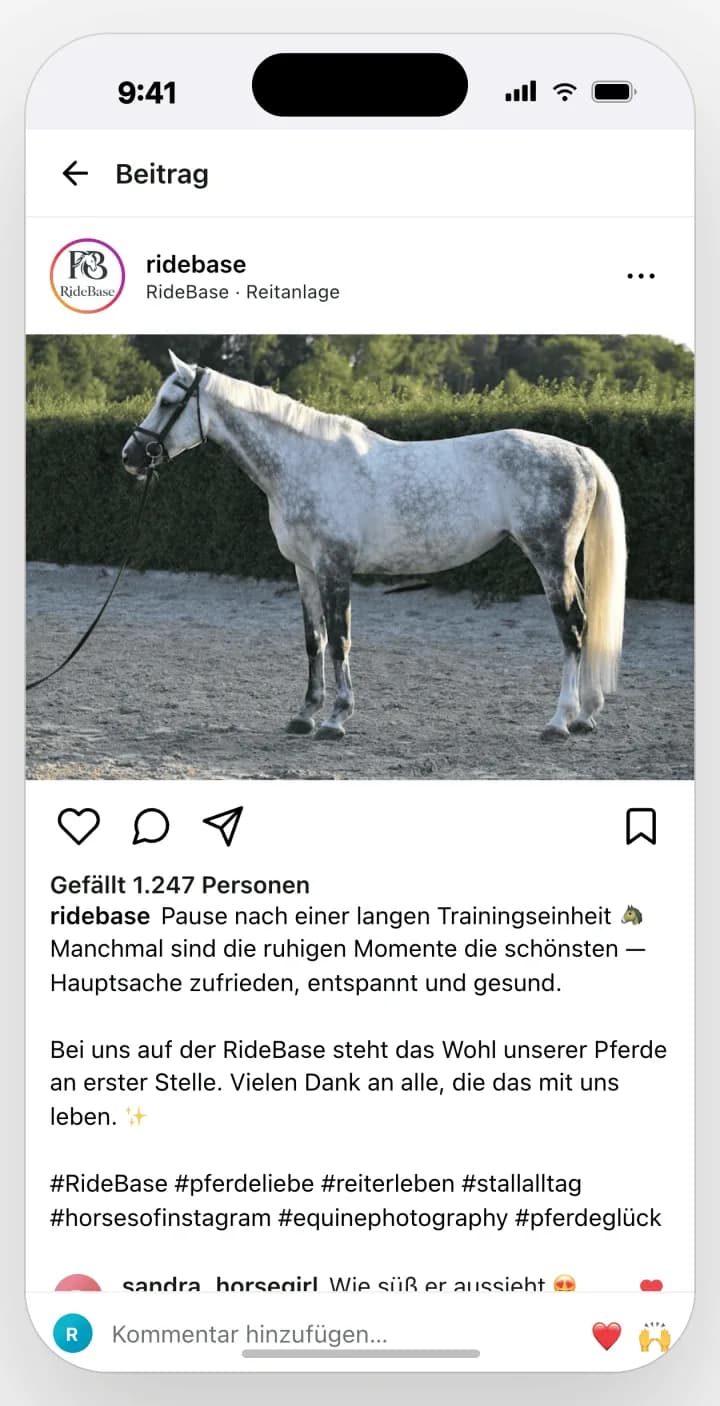 Instagram-Beitrag von RideBase mit einem Inserat aus der Pferdewelt