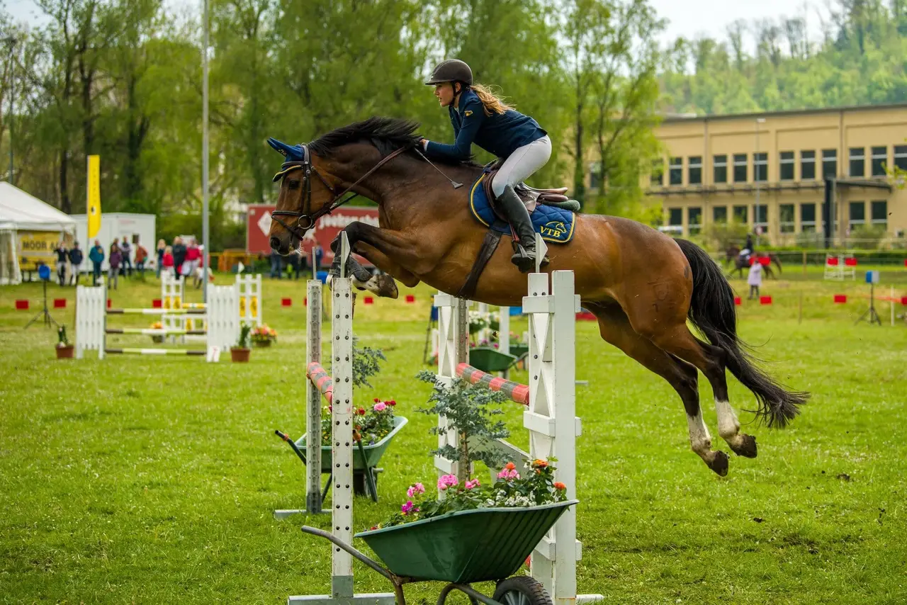 Springreiterin überspringt mit ihrem Pferd ein blumengeschmücktes Hindernis bei einem Schweizer Springturnier, RideBase ist der Marktplatz rund ums Pferd